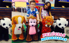 Locação (03 Horas) de 01 Pelúcia Motorizada